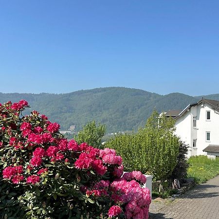 Ferienwohnung Rhein-Panorama Lahnstein Exterior photo