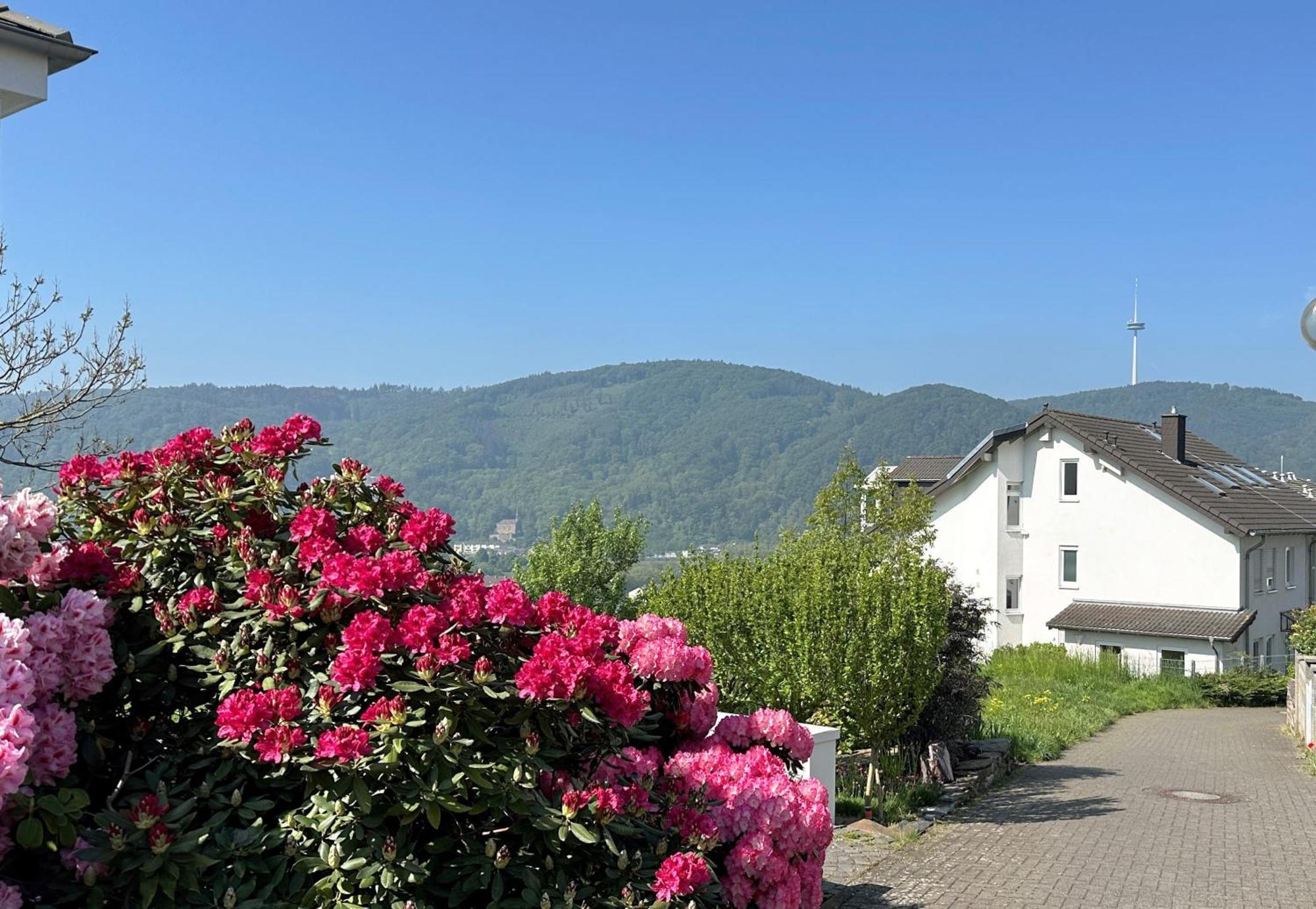 Ferienwohnung Rhein-Panorama Lahnstein Exterior photo